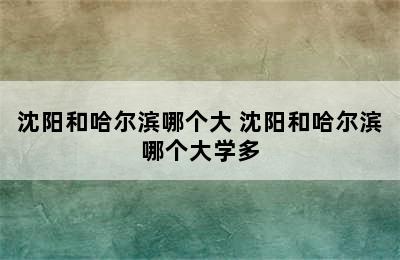 沈阳和哈尔滨哪个大 沈阳和哈尔滨哪个大学多